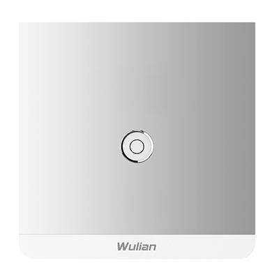 Metallic Switch Serial
